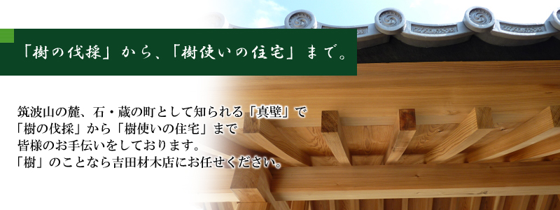 筑波山の麓、石・蔵の町として知られる「真壁」で「樹の伐採」から「樹使いの住宅」まで皆様のお手伝いをしております。「樹」のことなら吉田材木店にお任せください。